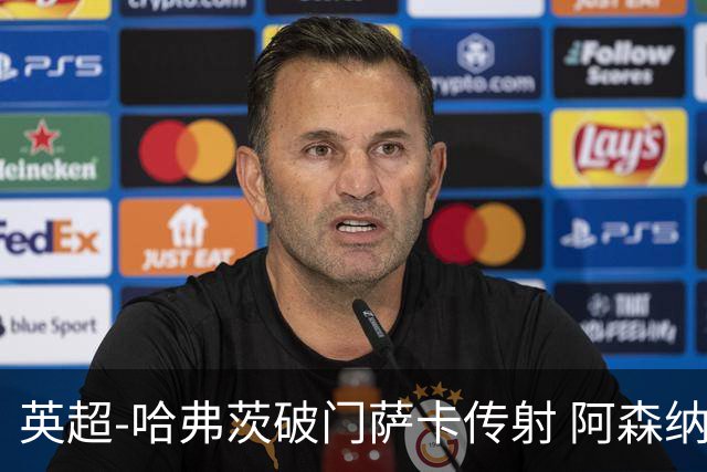英超-哈弗茨破门萨卡传射 阿森纳2-0狼队